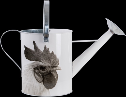 Regadera Metalica Animales de Granja Blanco y Negro